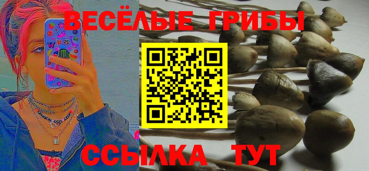 Галлюциногенные грибы GOLDEN TEACHER  Вход с VPN  закладки  Куйбышев 