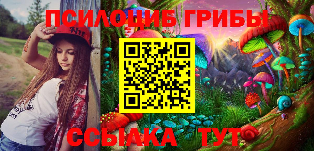 Псилоцибиновые грибы Psilocybine cubensis Куйбышев